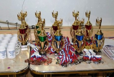 Открытый турнир Самарской области по черлидингу
